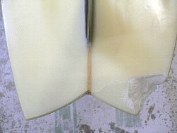 �|���G�X�e�� �e�C�� �V���[�g 1_1